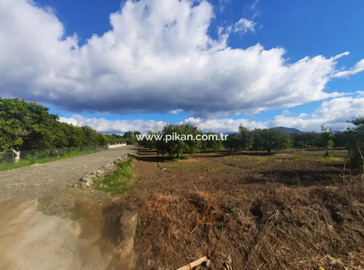 Muğla Ortaca Okçular Marmarlı Da 20.000 M2, İmar Planında Arazi Satılık