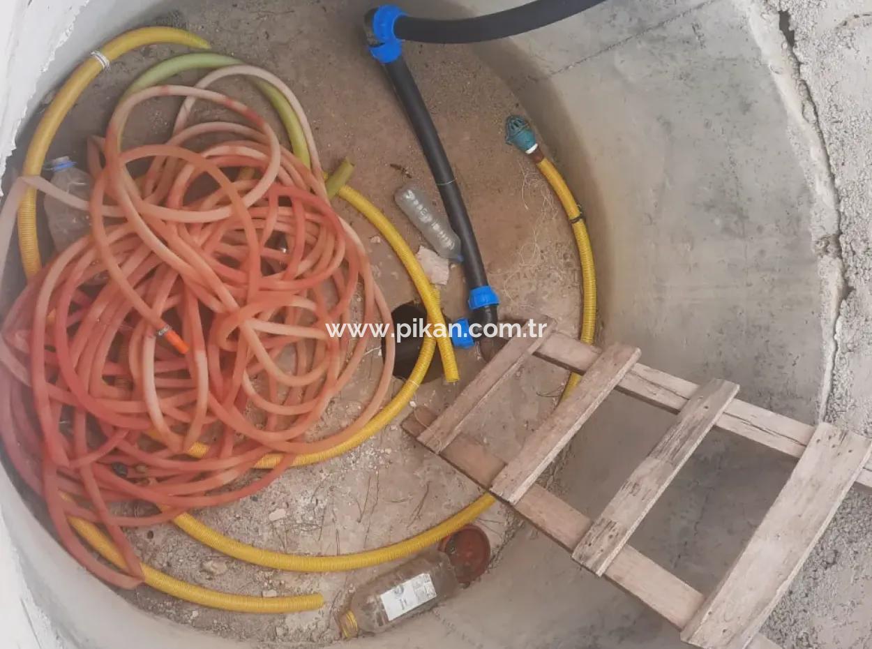 Çameli Cumaalanında  Kiralık 6 230 M2 Verimli Arazi