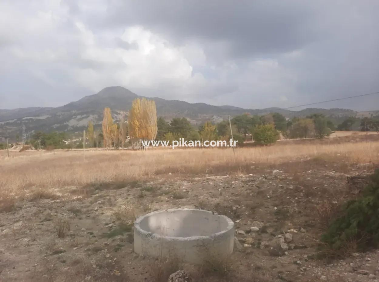 Çameli Cumaalanında  Kiralık 6 230 M2 Verimli Arazi