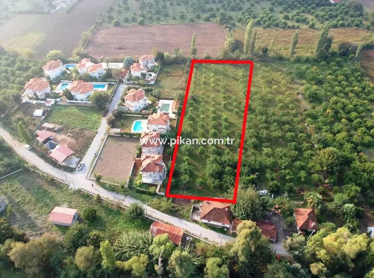 Muğla Ortaca Marmarlıda 4.000 M2  Limon Bahçesi 5 Yıllık Kiralık