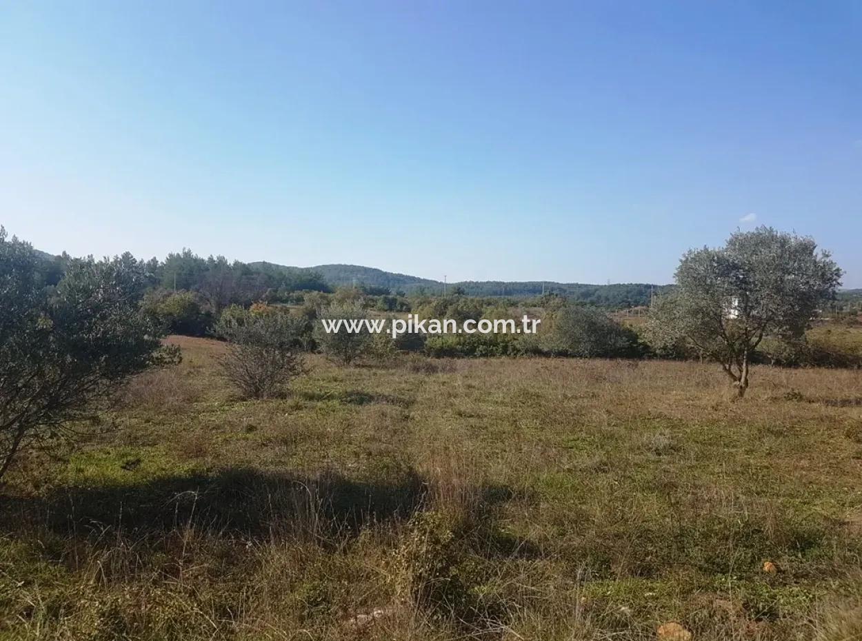 Ula Kızılağaçta Satılık Tarla