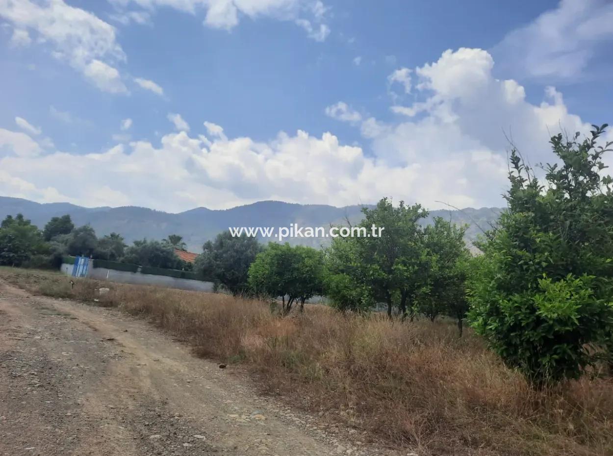 Köyceğiz Toparlarda Göl Manzaralı 2 100 M2 İmarlı Arsa Ve 2 Ev Satılık