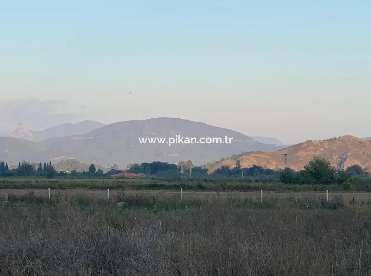 Ortaca Güzelyurt Da 26.200 M2 Müstakil Tarla Ve 3.000 M2 Satılık