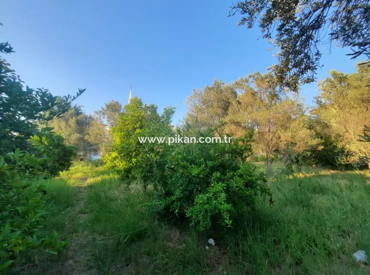 Dalaman Da 1 360 M2 Hazine Arazisinde Köy Evi Satılık Veya Araba İle Takas