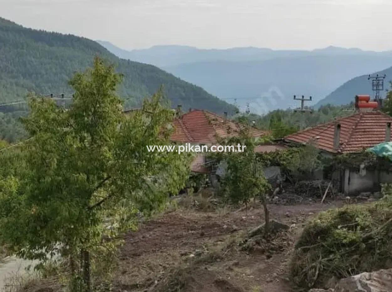 Muğla Köyceğiz Yayla Mah 570 M2 Arsa Satılık