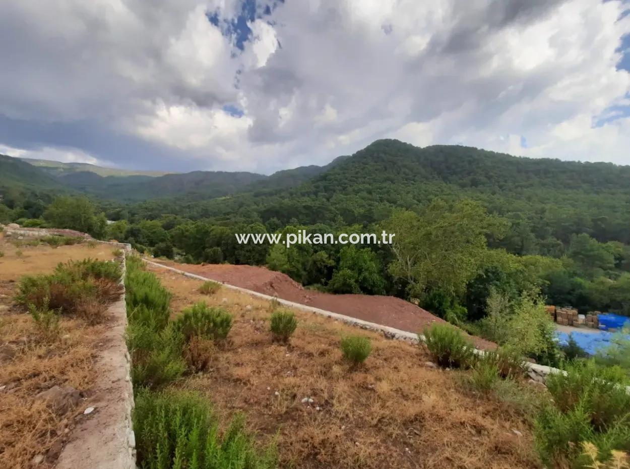 Muğla Köyceğiz Ağla, Yaylada 1 758 M2, İmarlı Arsa Satılık