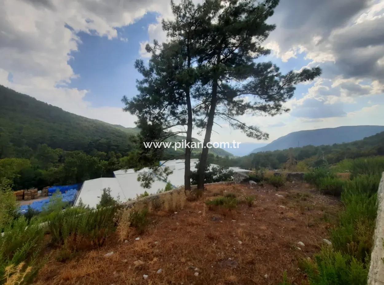 Muğla Köyceğiz Ağla, Yaylada 1 758 M2, İmarlı Arsa Satılık