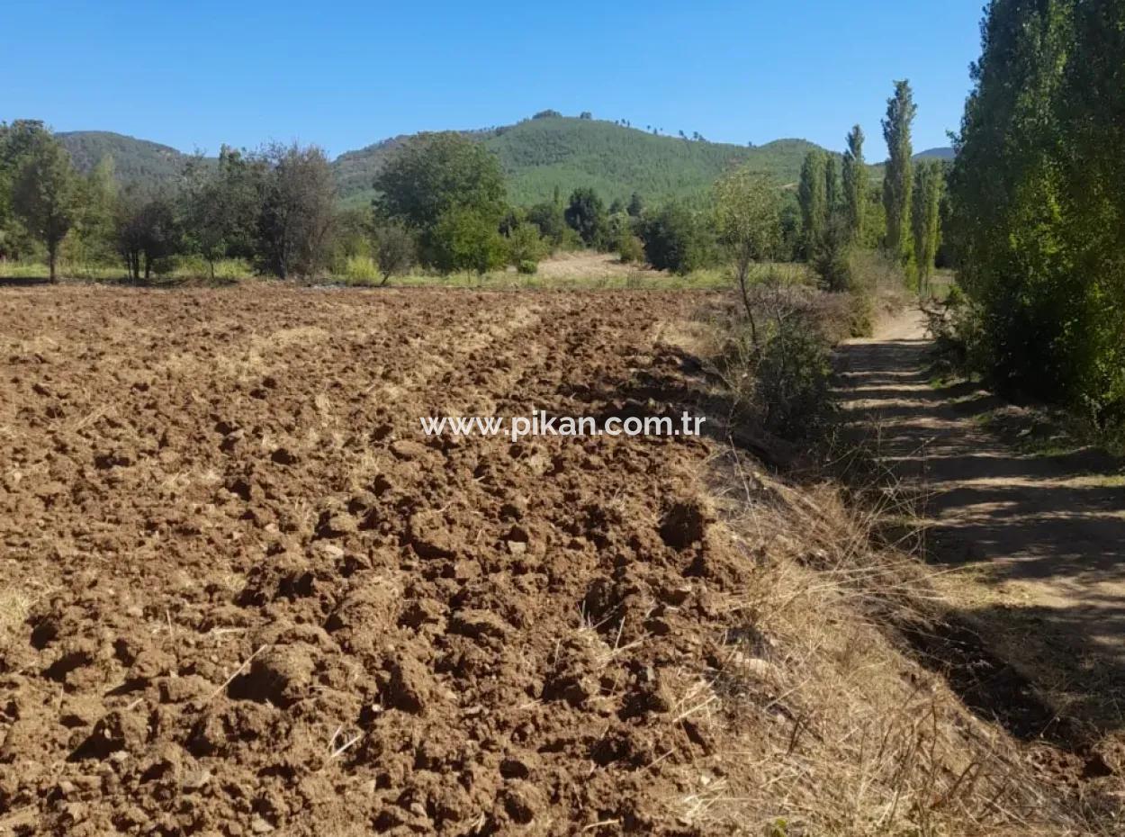 Denizli Beyağaç Yeniçeşmede 2700 M2 Müstakil Arazi Satılık