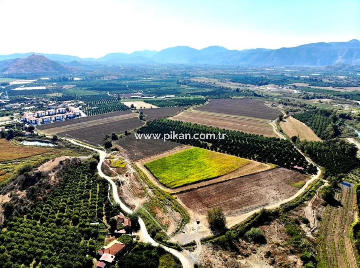 Mugla Dalaman Da 179 000 M2 İmara Sıfır Yatırıma Uygun Verimli Tarım Arazi Satılık