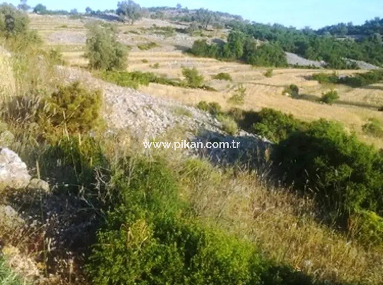 Seydikemer Boğaziçinde Satılık Deniz Manzaralı Arazi