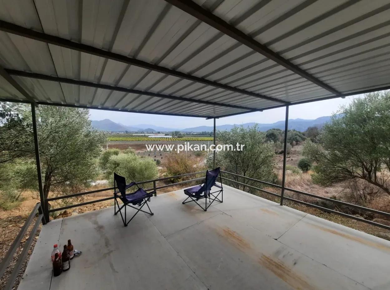 Eskiköyde 2 500 M2 Hazine Arazisi Zilliyet Hakkı Devir Edilecek Veya  Araç Takas Olur