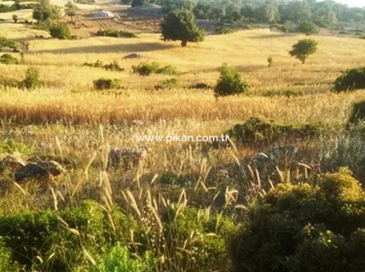 Seydikemer Boğaziçinde Satılık Deniz Manzaralı Arazi