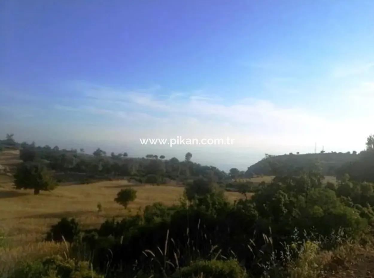 Seydikemer Boğaziçinde Satılık Deniz Manzaralı Arazi