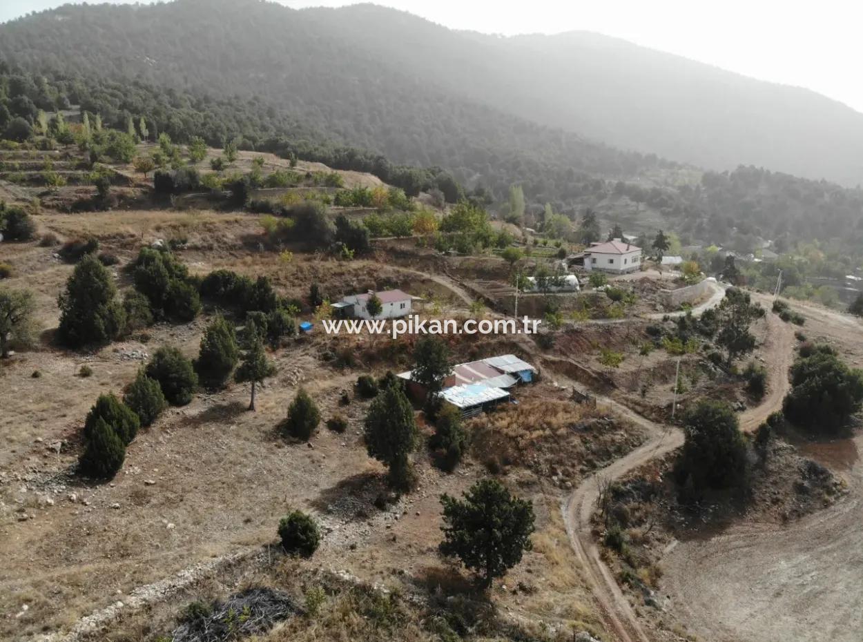 Çameli Kızılyaka Da 5 000 M2 Arazide 2+1 Müstakil Ev, Ve Ahır Kiralık