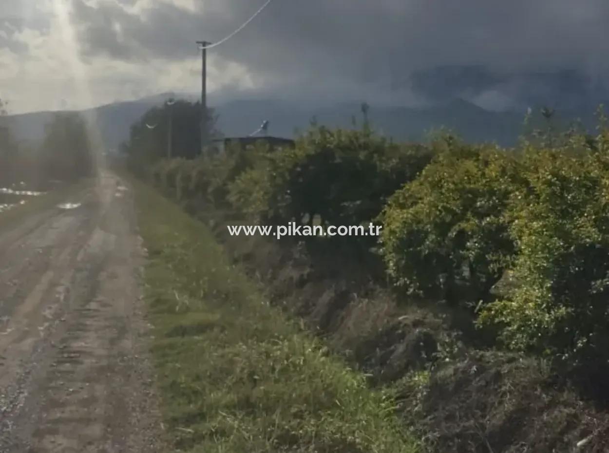 Muğla Ortaca Eskiköyde 7833 M2 Müstakil Tarla Satılık