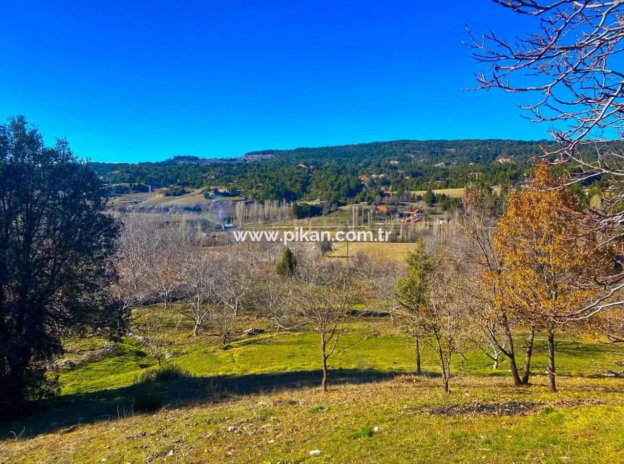 Denizli Çameli Cevizlide, 3.278 M² Fırsat İmarlı Müstakil Arazi Satılık