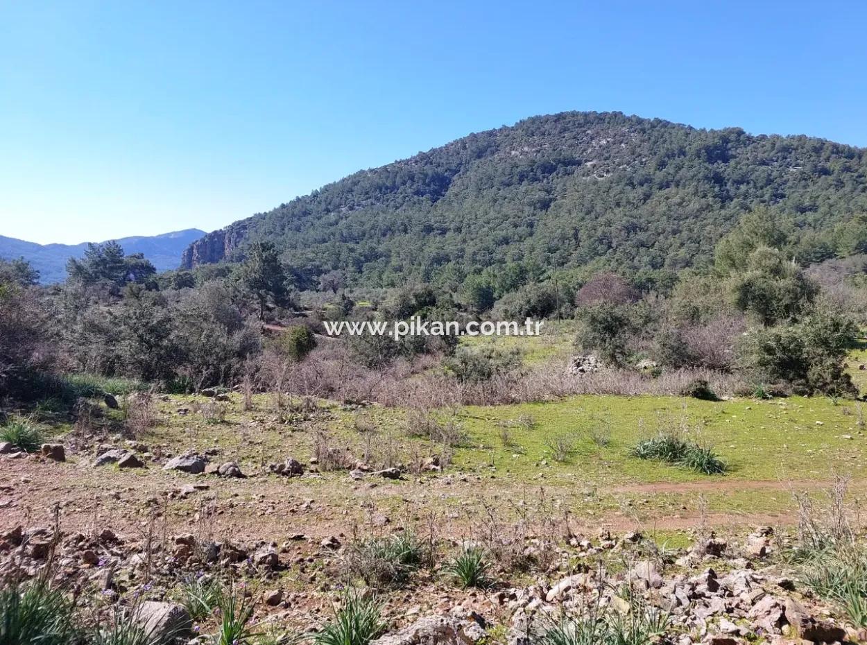 Muğla Ortaca Gökbelde Doğa İçinde 2 400 M2 Tarla Satılık