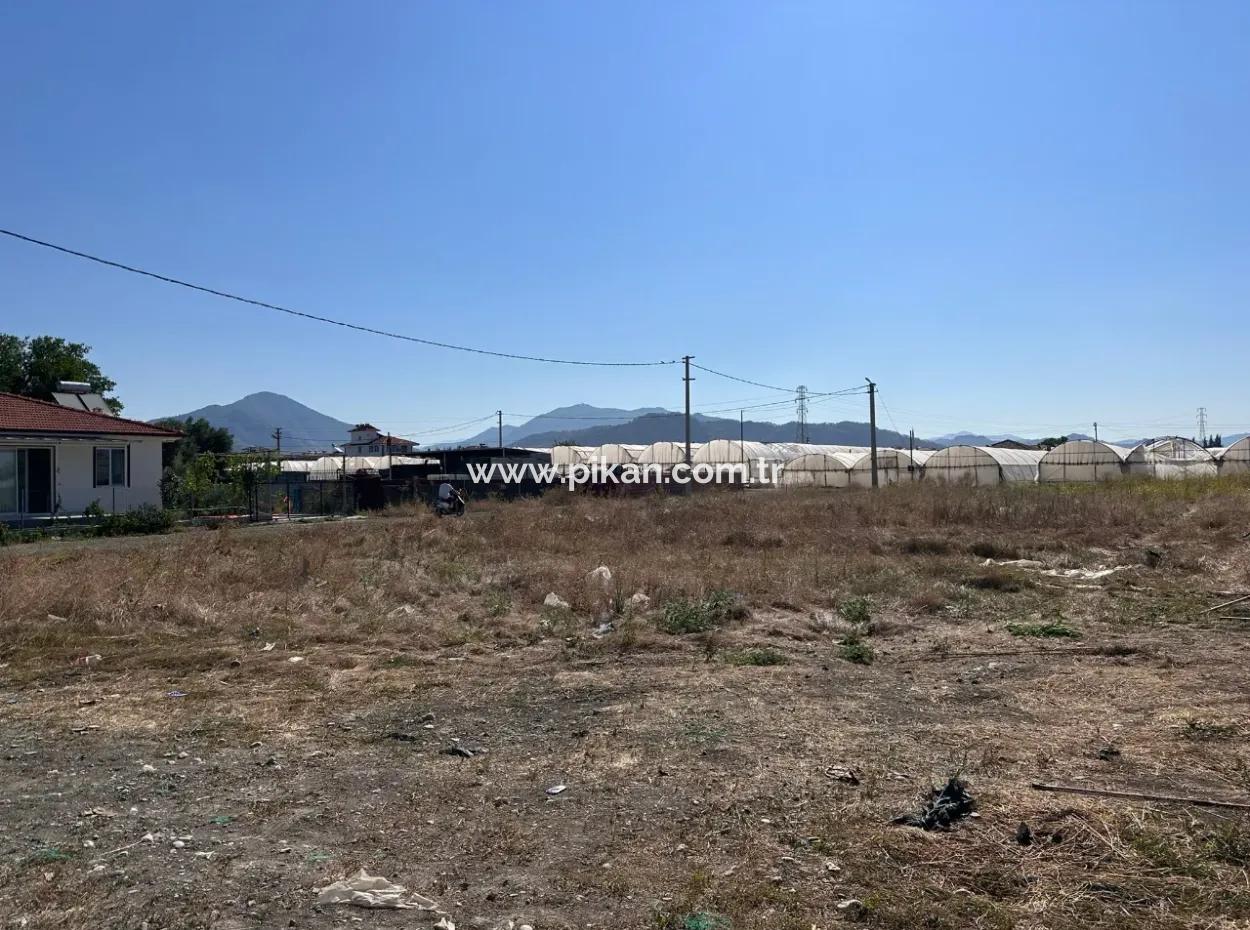 Ortaca Karaburunda 515 M2 Köşe İmarlı Arsa Acil Satılık Veya Takas