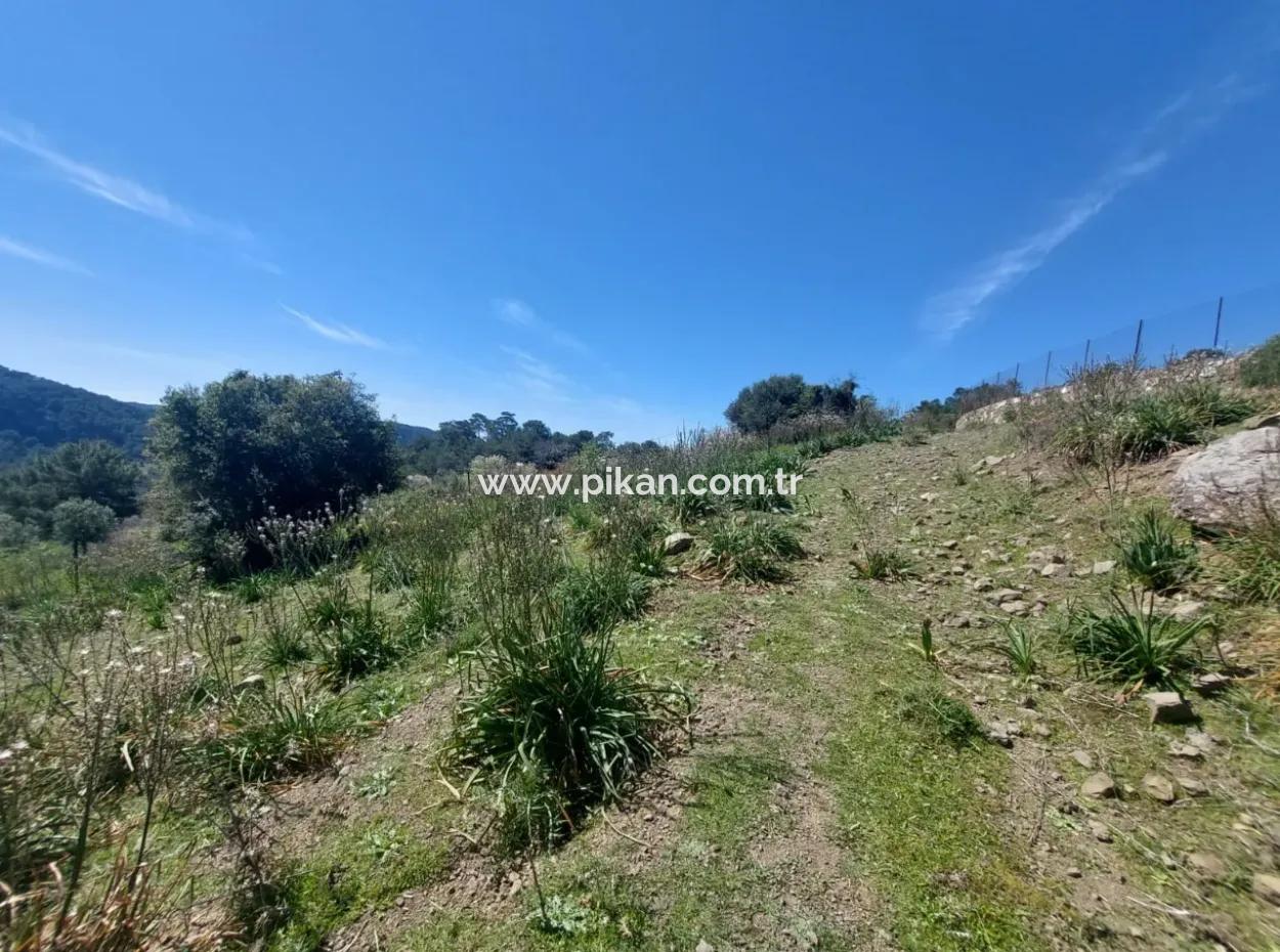 Ortaca Gökbelde  Müstakil 12 132M2 Doğa İçinde Kelepir Arazi Satılık