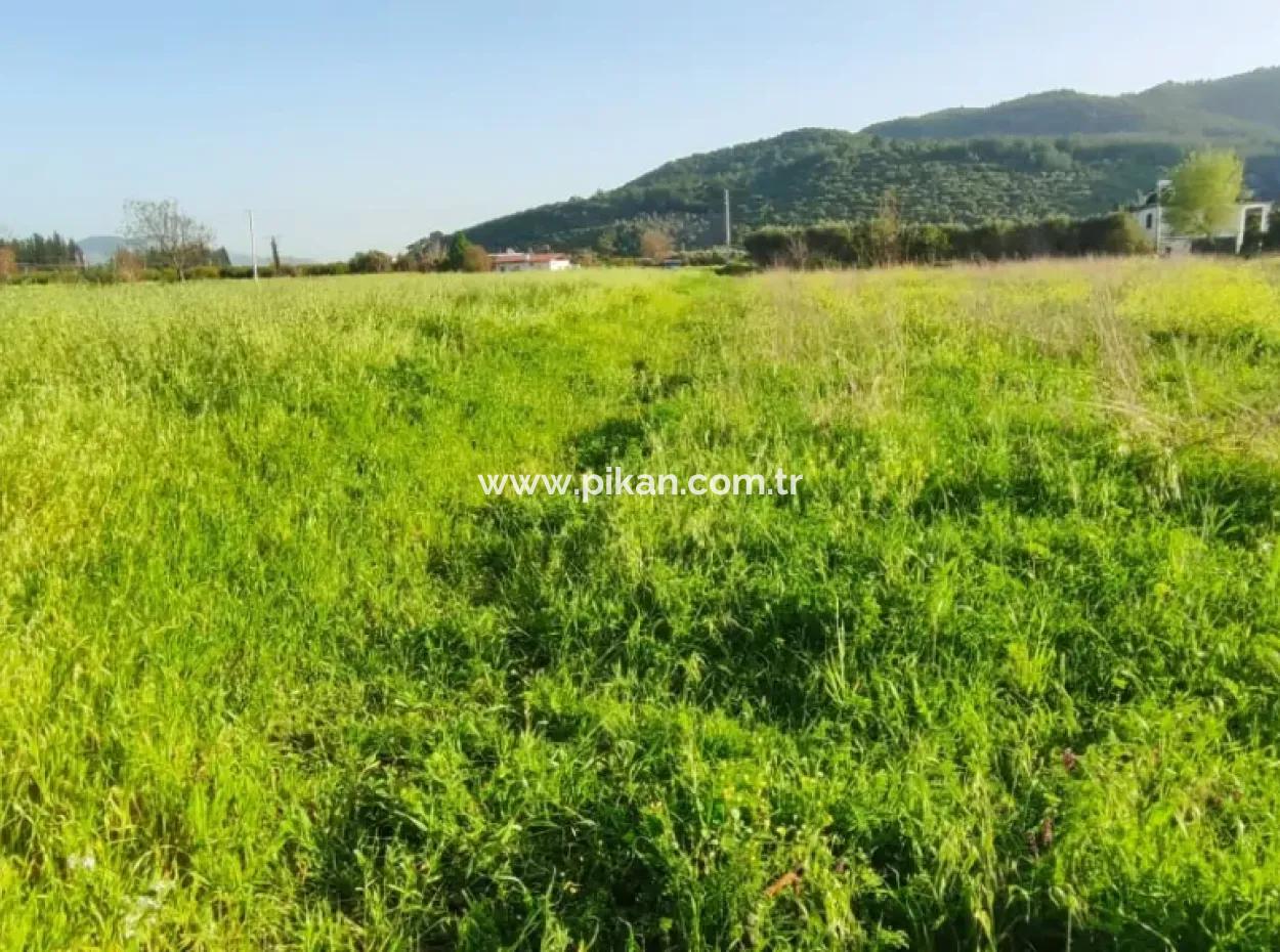Muğla Ortaca Fevziye Mahallesinde Rızai Taksimli 798 M2 Satılık Tarla