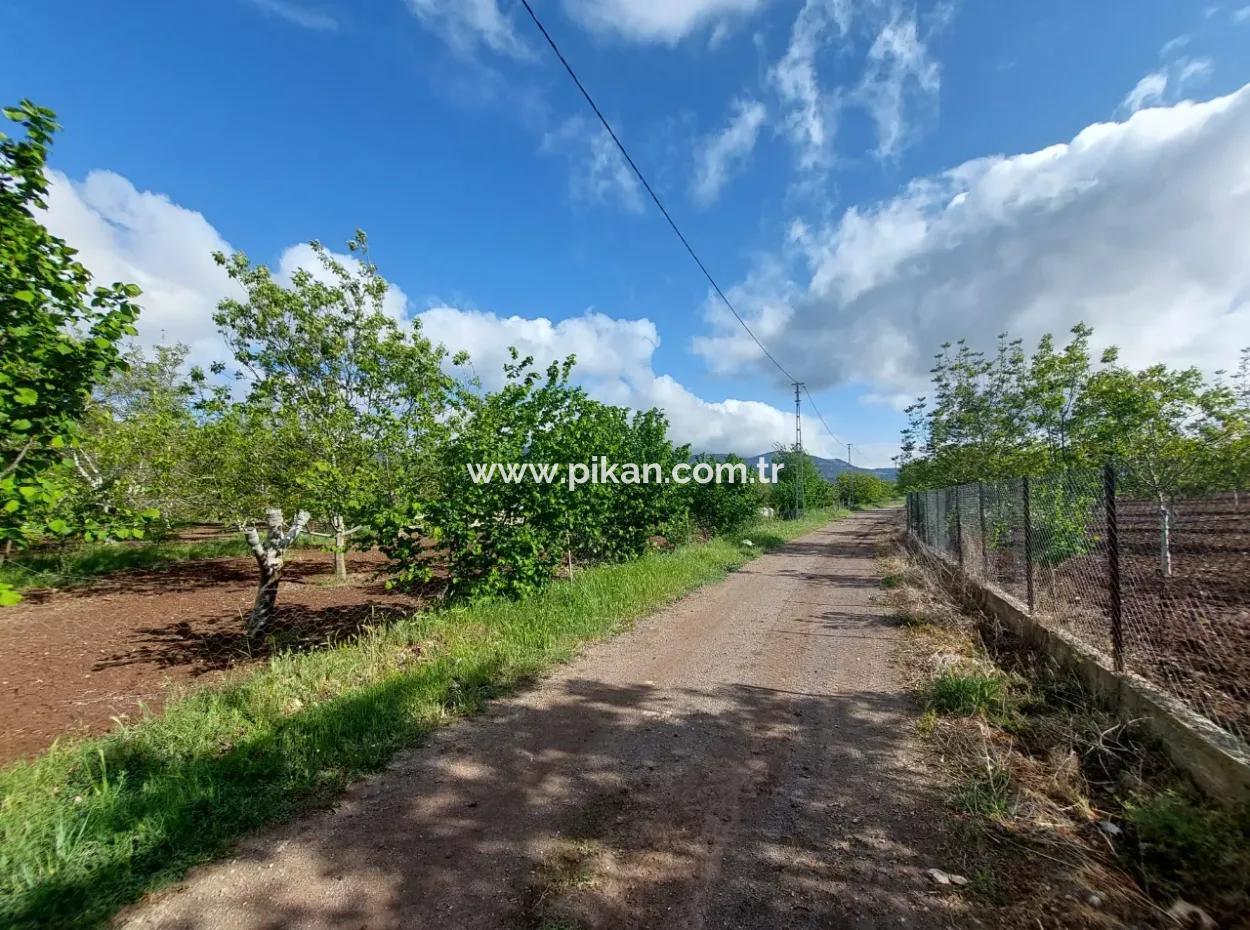 Çameli Kızılyakada  1000 M2 Arazi, Satılık Veya Ortacadan 2+1 Daire İle Takas