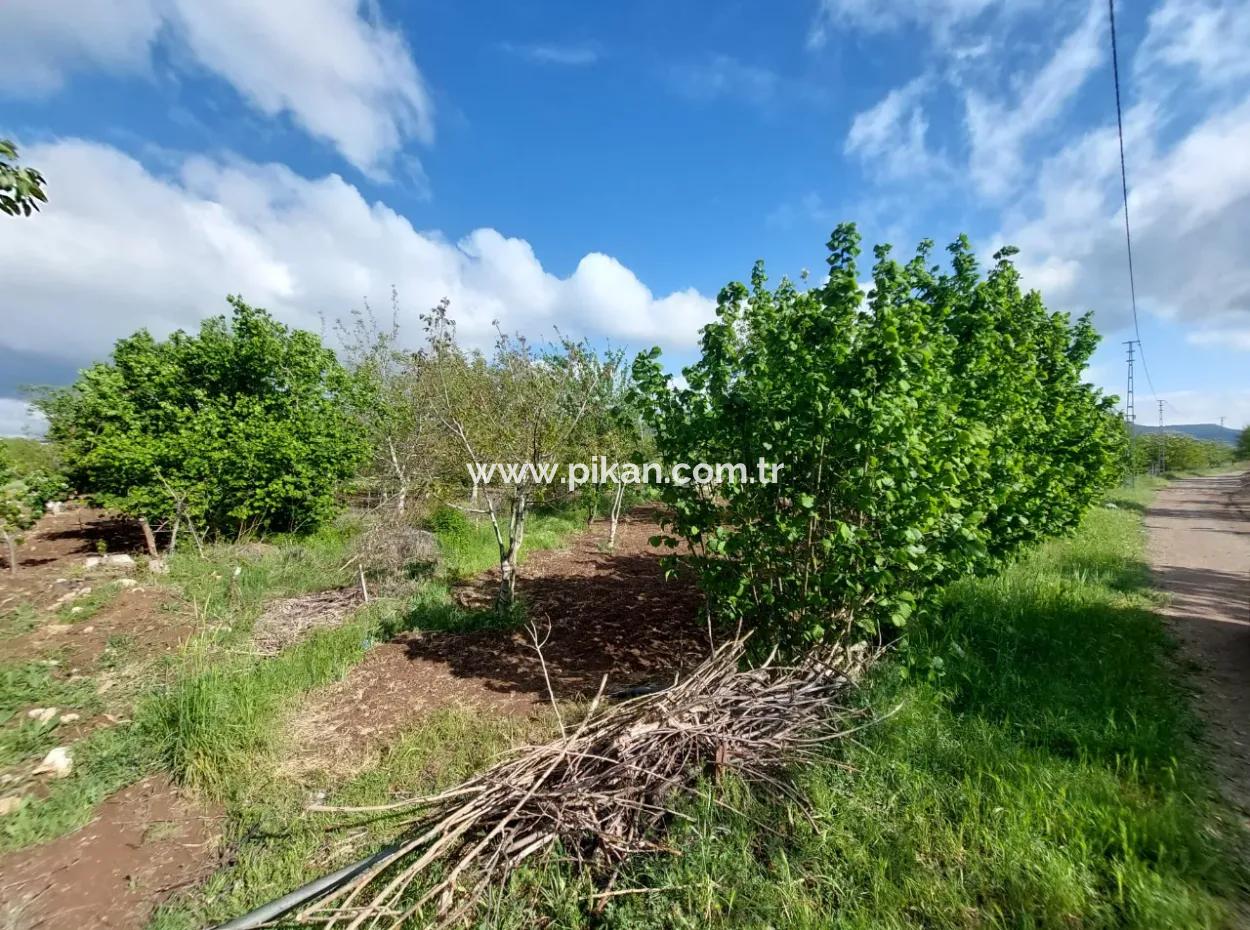 Çameli Kızılyakada  1000 M2 Arazi, Satılık Veya Ortacadan 2+1 Daire İle Takas