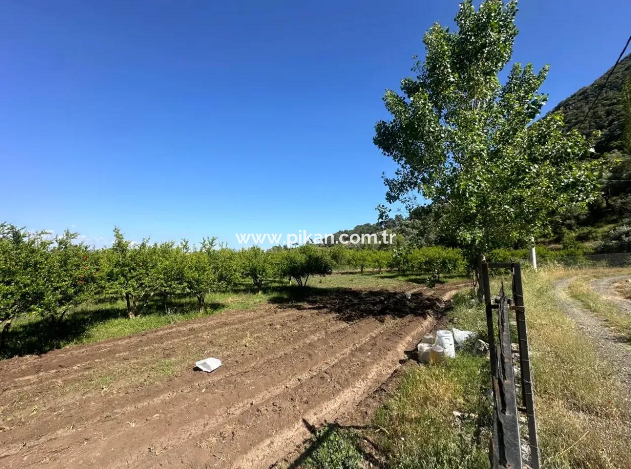 Ortaca Mergenlide Dağ Kenarında, 1 700 M2 İmarlı Kelepir Arsa Satılık