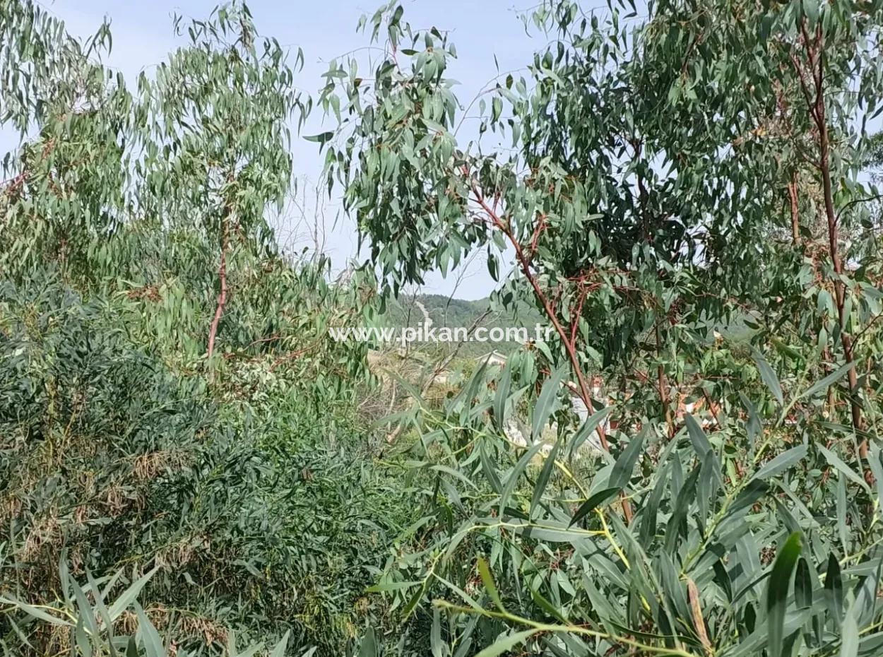 Dalaman'da Toplu Konut Yapmaya Uygun 18 Villa, 6 165 M2 İmarlı Arsa Satılık