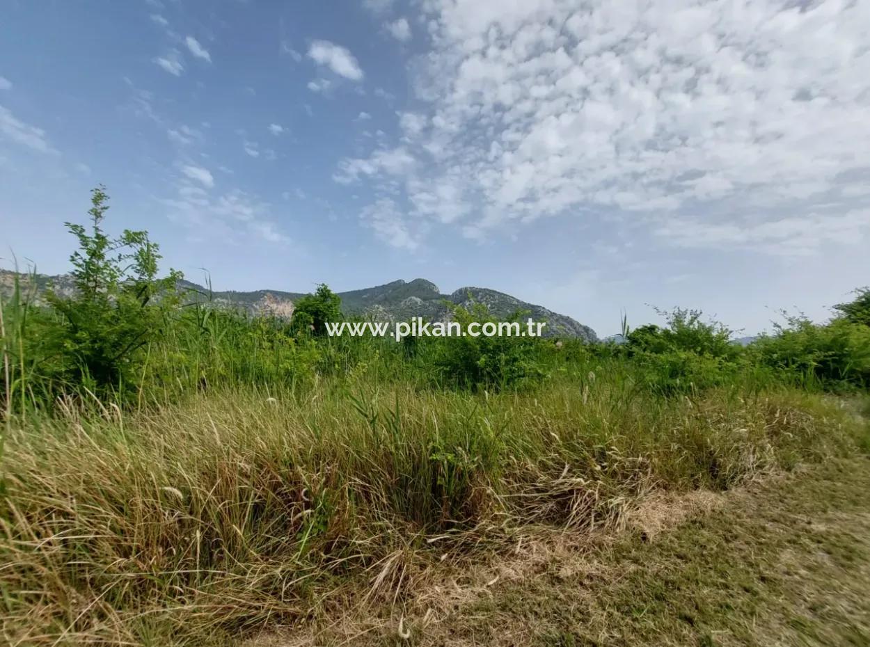 Dalyanda 1.500 M2 Müstakil Tarla Satılık
