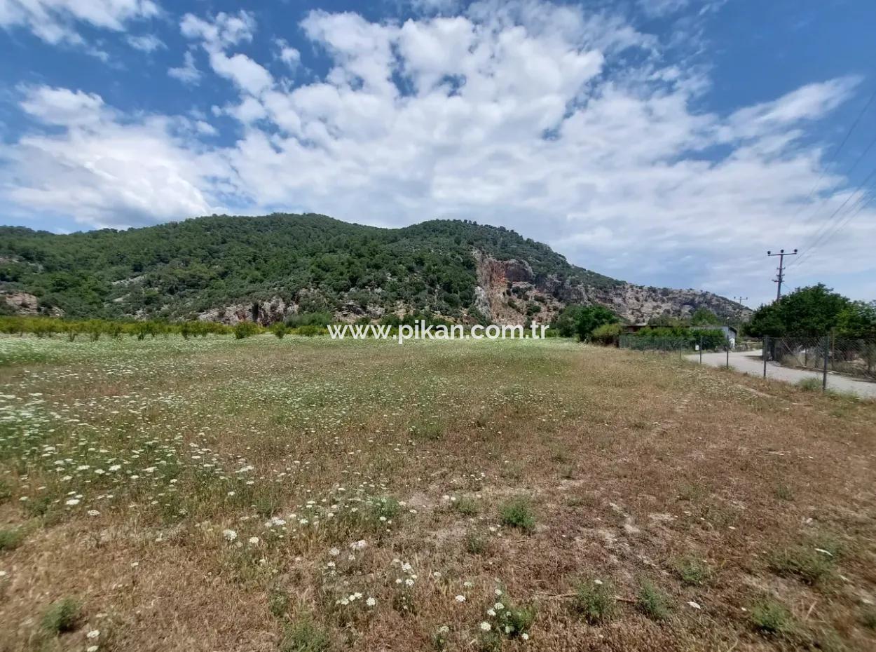 Köyceğiz Çandırda  Müstakil Tapulu 33.800 M2 Tarla Satılık