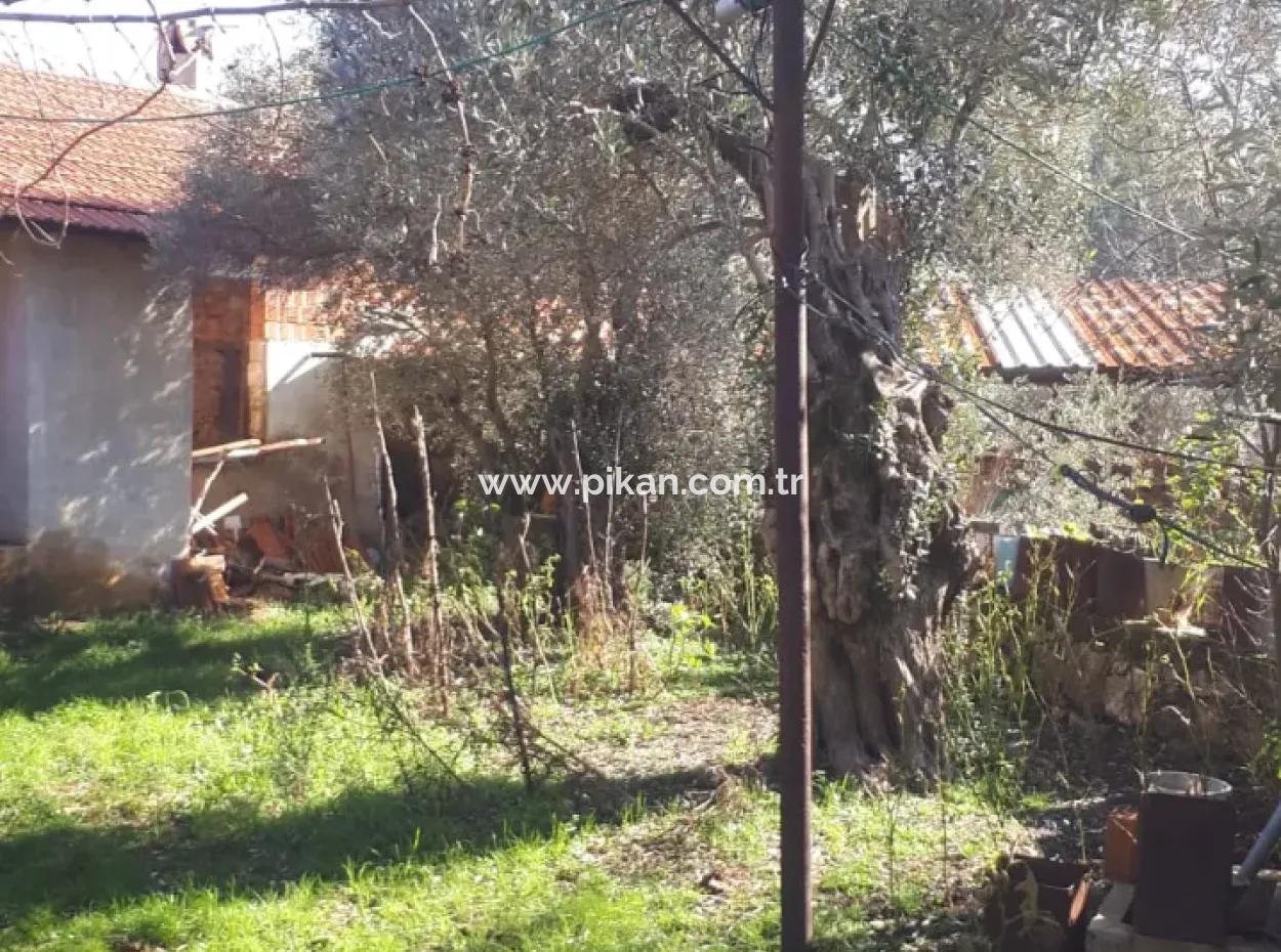 Denizli Kızılağaçta 545 M2 İmarlı Arsada Satılık Köy Evi