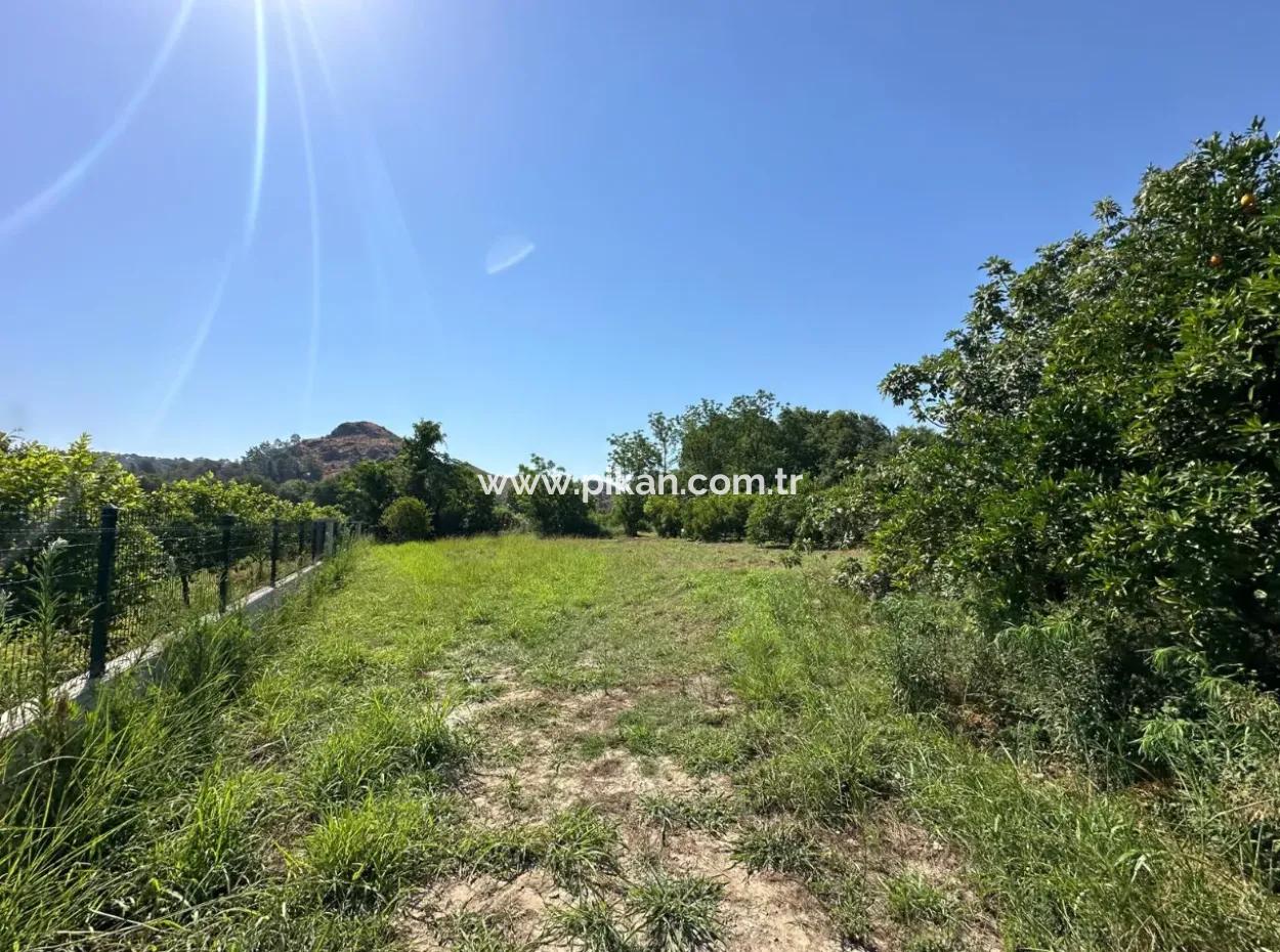 Ortaca Akıncı Da 1823 M2 Arsa Satılık