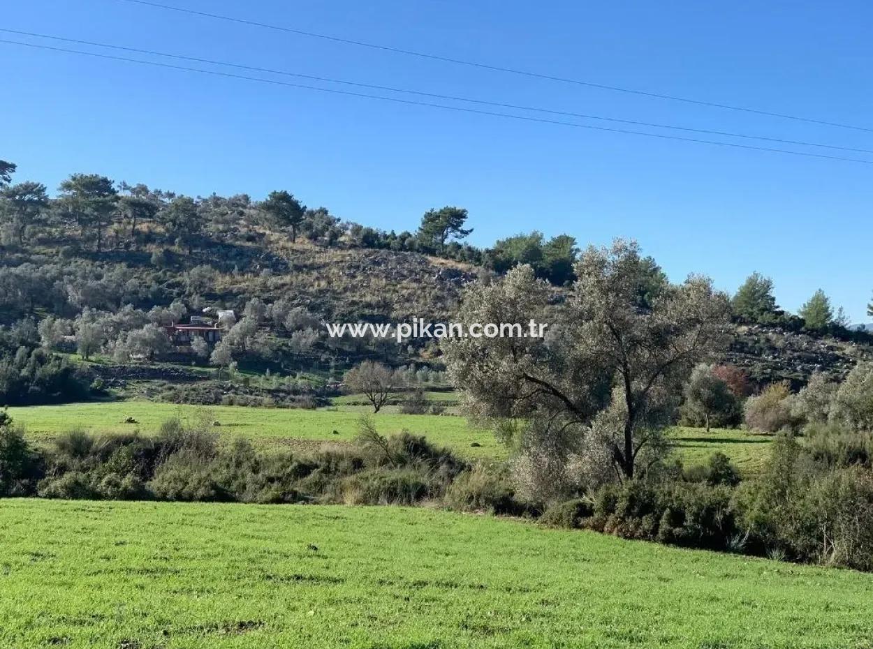 Göcek Te Satılık Yatırıma Uygun Arazi