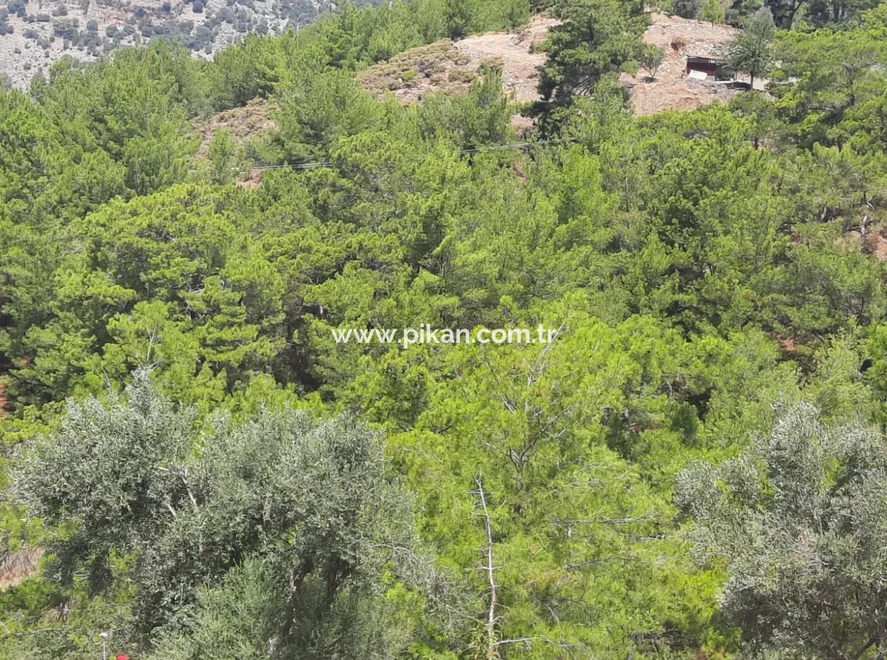 Dalyan Gökbelde Göl Ve Deniz Manzaralı Müstakil Tapulu Satılık 82 M2 Arazi Satılık