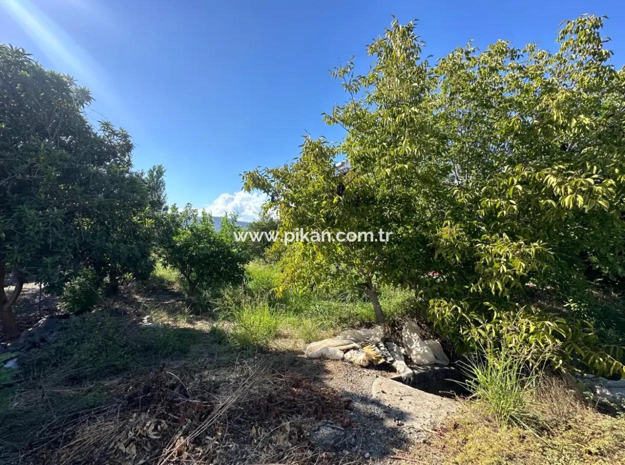 Ortaca Dalaklıda 1129 M2 İmarlı Arsa Satılık