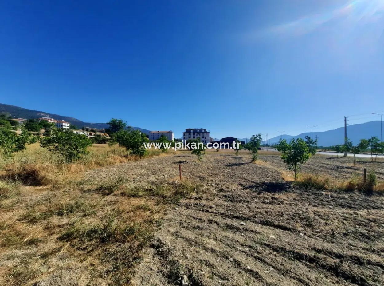 Denizli Çameli Kolakta 1 700 M2 Müstakil Arazi Satılık