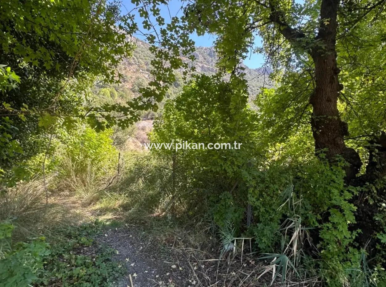 Dalyan Marmarlıda 3073 M2 Tarla Kiralık