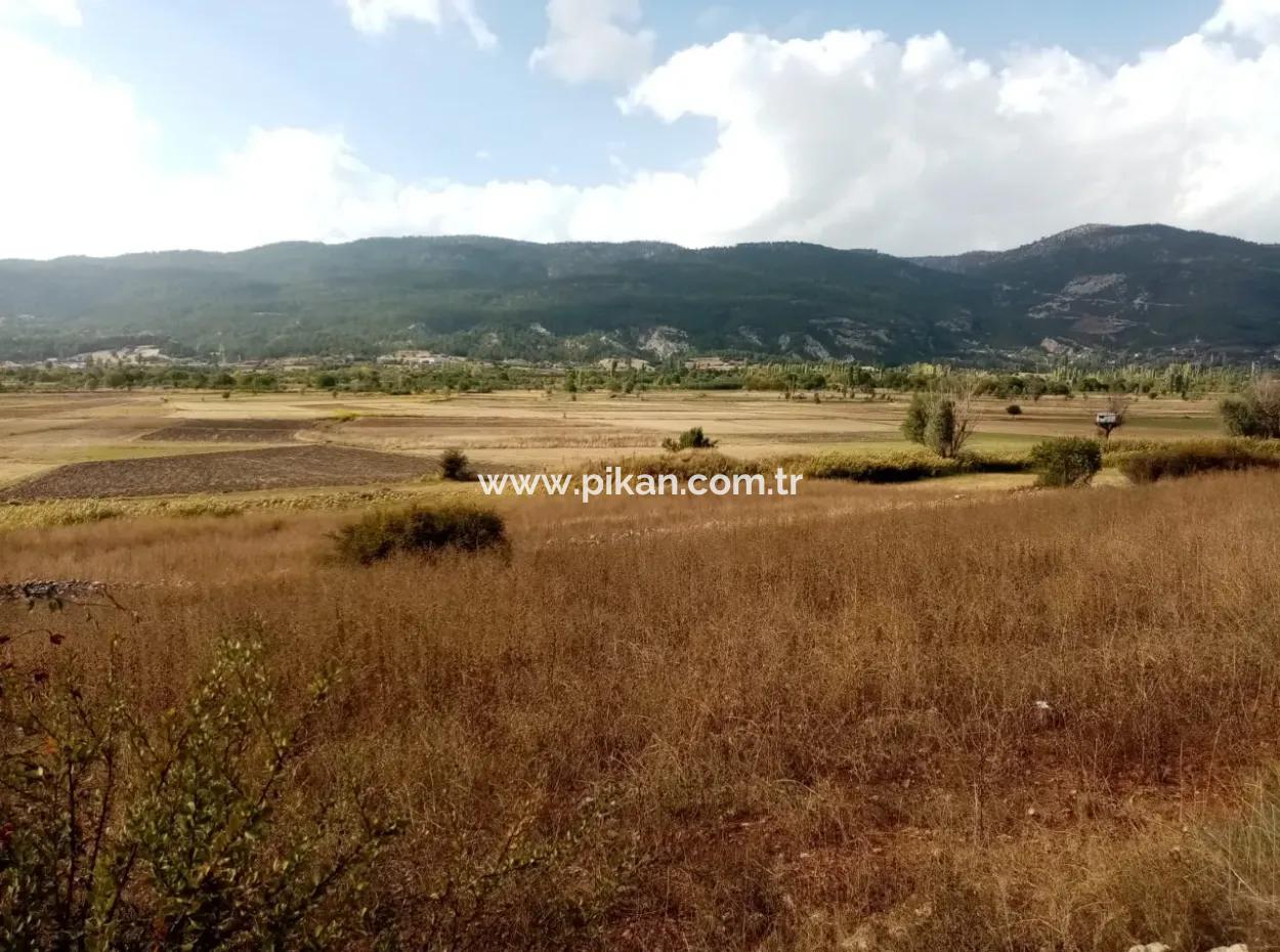 Denizli Çameli Belevi Mahallesinde 2603 M2  Tarla Satılık