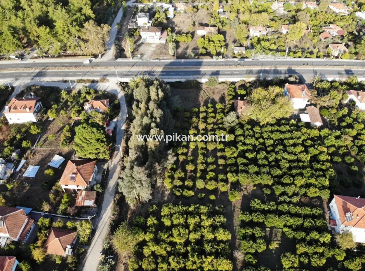 Köyceğiz Toparlar’da Ana Yola Cepheli 2.800 M² Ticari/Konut İmarlı Arsa Satılık