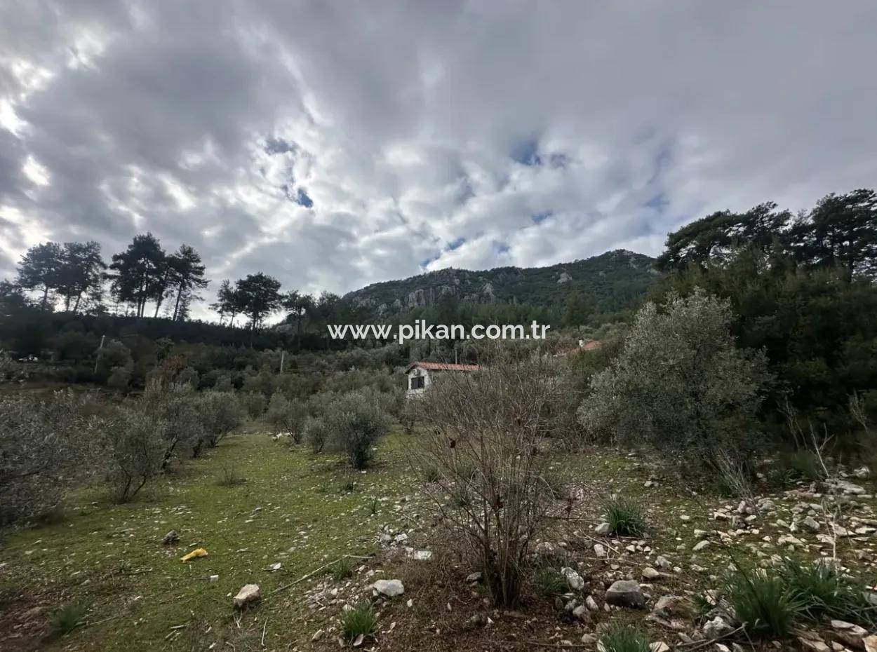Fethiye Gökçeovacıkta Satılık 1709 M2