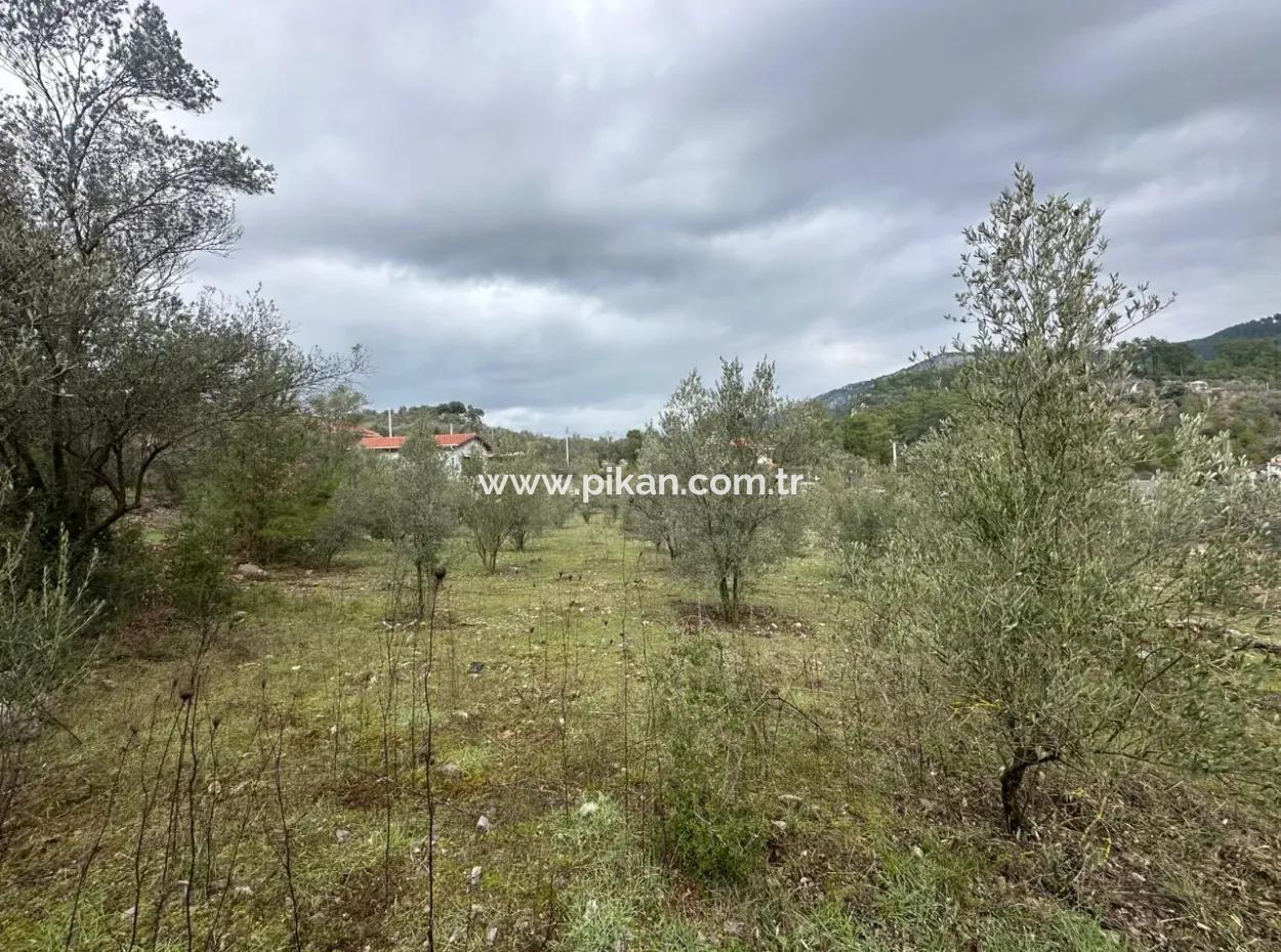 Fethiye Gökçeovacıkta Satılık 1709 M2