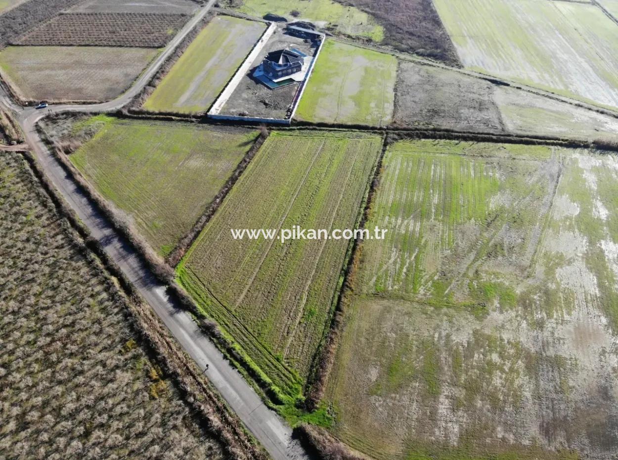 Ortaca Güzelyurtda Kooperatife Uygun Tarlalar Satılık