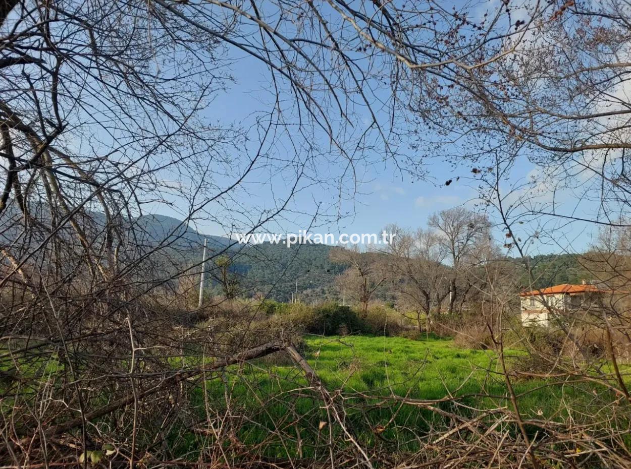 Köyceğiz Çandırda Göle Yakın 2585 M2 Müstakil Arazi Satılık