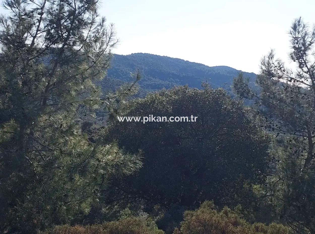 Ortaca Gökbelde Müstakil Tapulu Deniz Manzaralı 28.350 M2 Arazi Satılık