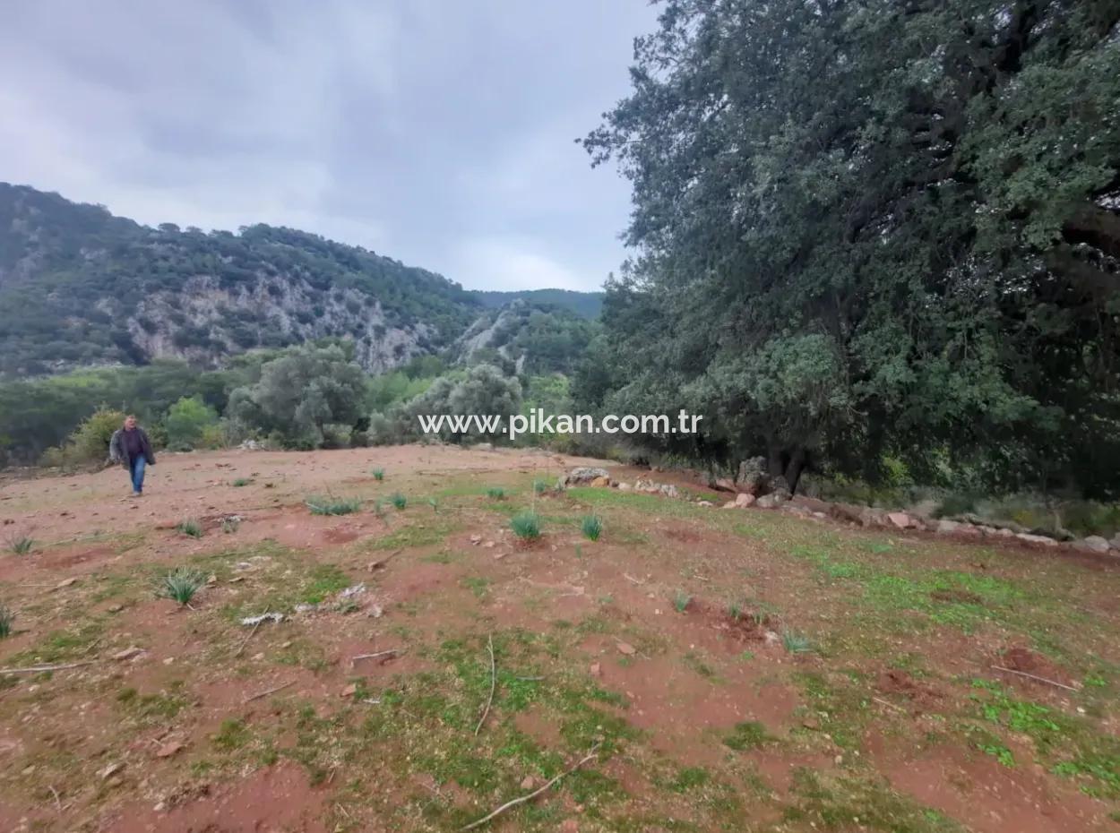 Muğla Dalyan Gökbelde Doğa İçinde 24.000 M2 Müstakil Arazi Satılık