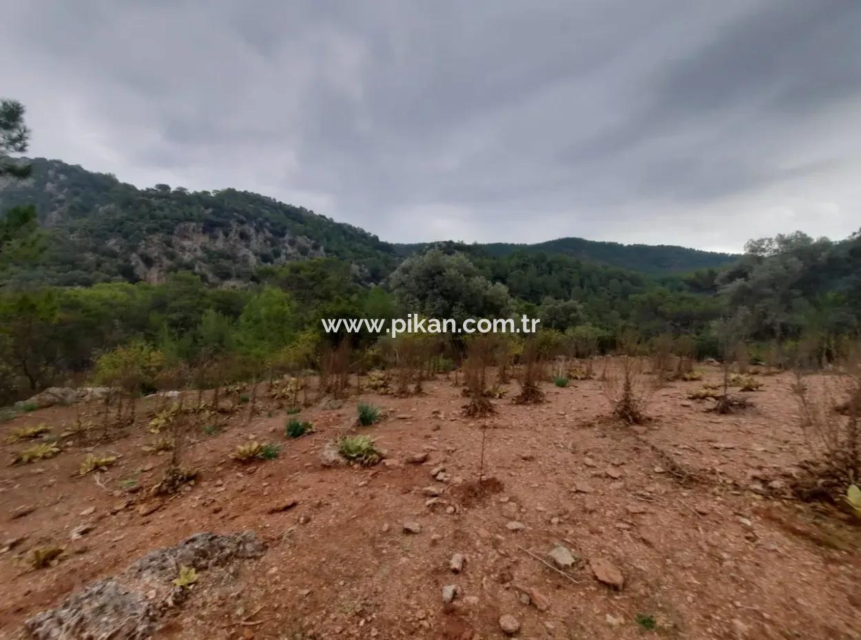 Muğla Dalyan Gökbelde Doğa İçinde 24.000 M2 Müstakil Arazi Satılık