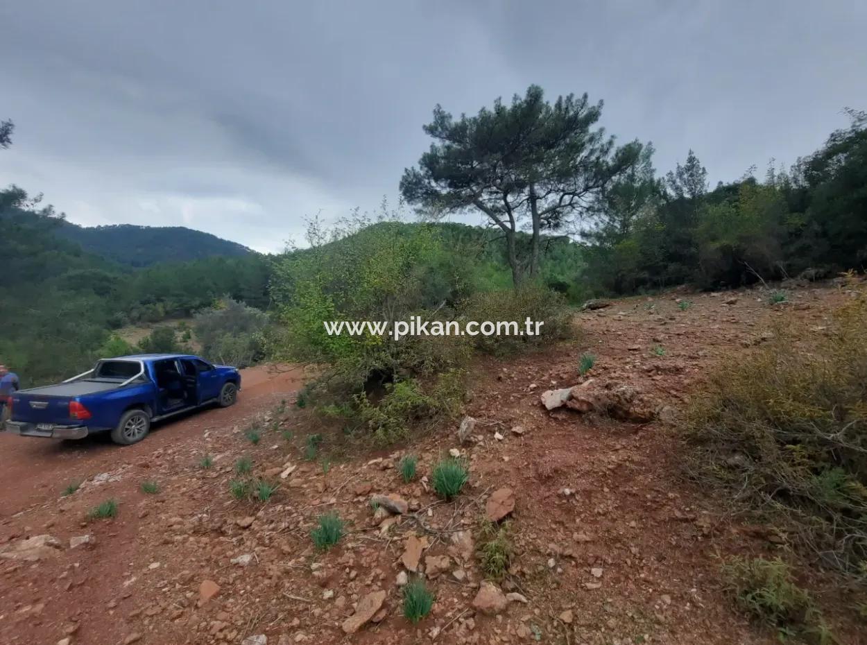 Muğla Dalyan Gökbelde Doğa İçinde 24.000 M2 Müstakil Arazi Satılık