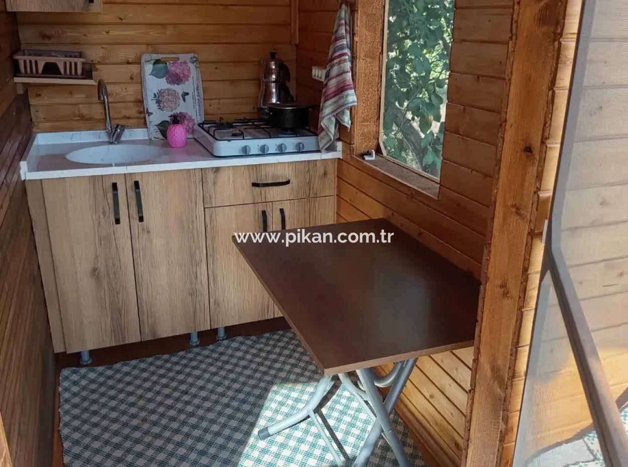 Muğla Ortaca Okçularda 1+1 Ahşap Bungalov Kiralık