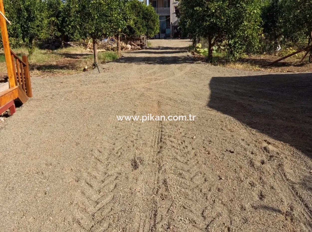 Muğla Ortaca Okçularda 1+1 Ahşap Bungalov Kiralık