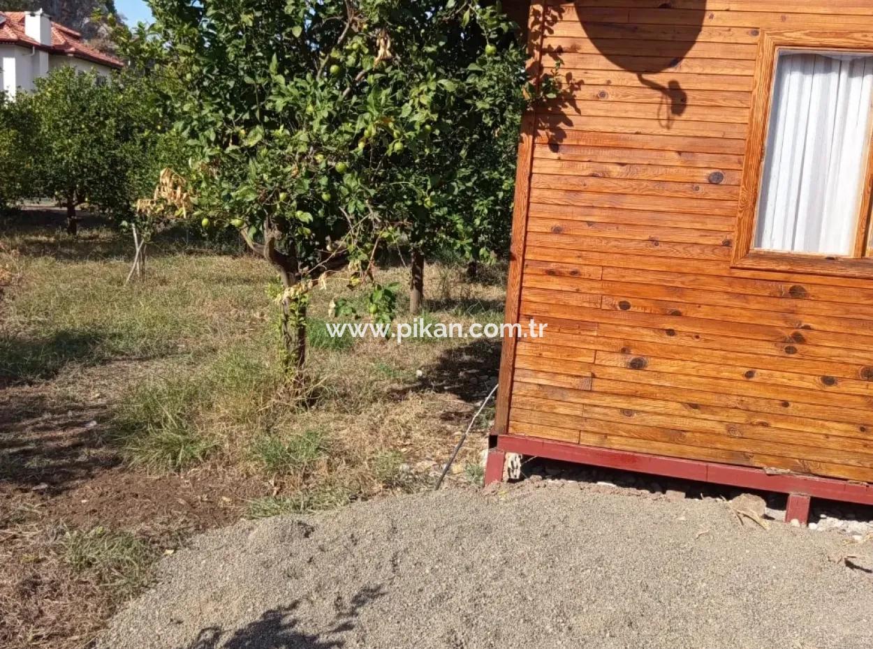 Muğla Ortaca Okçularda 1+1 Ahşap Bungalov Kiralık